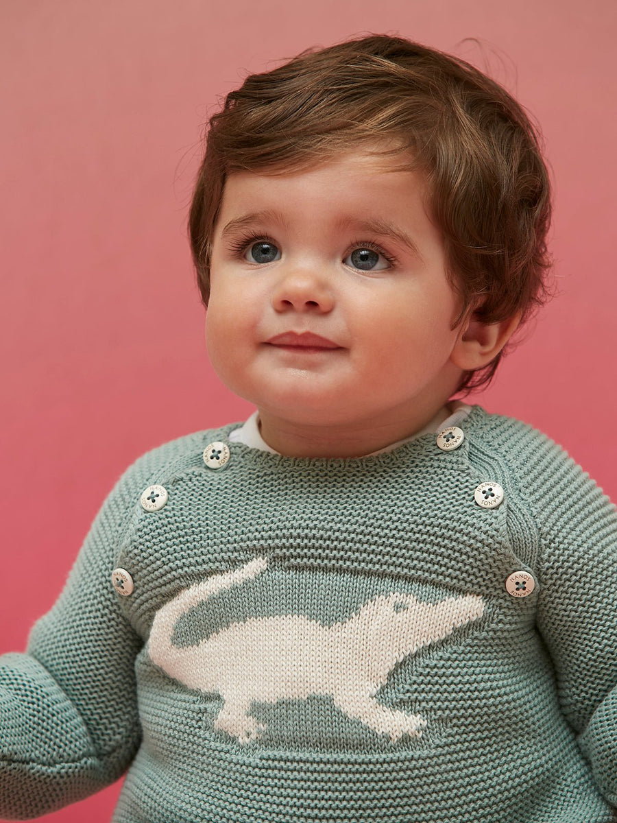 Baby Boy's Lizard Knit Sweatshirt